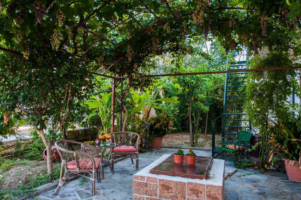 Zante Nest Studios & Apartments Alykanas  Eksteriør billede